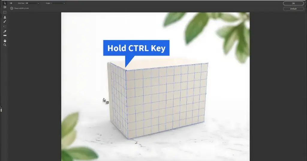 hold the ctrl key and move the points to match the box’s perspective