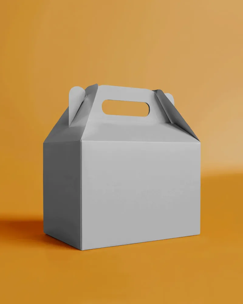 3d box packaging mockup